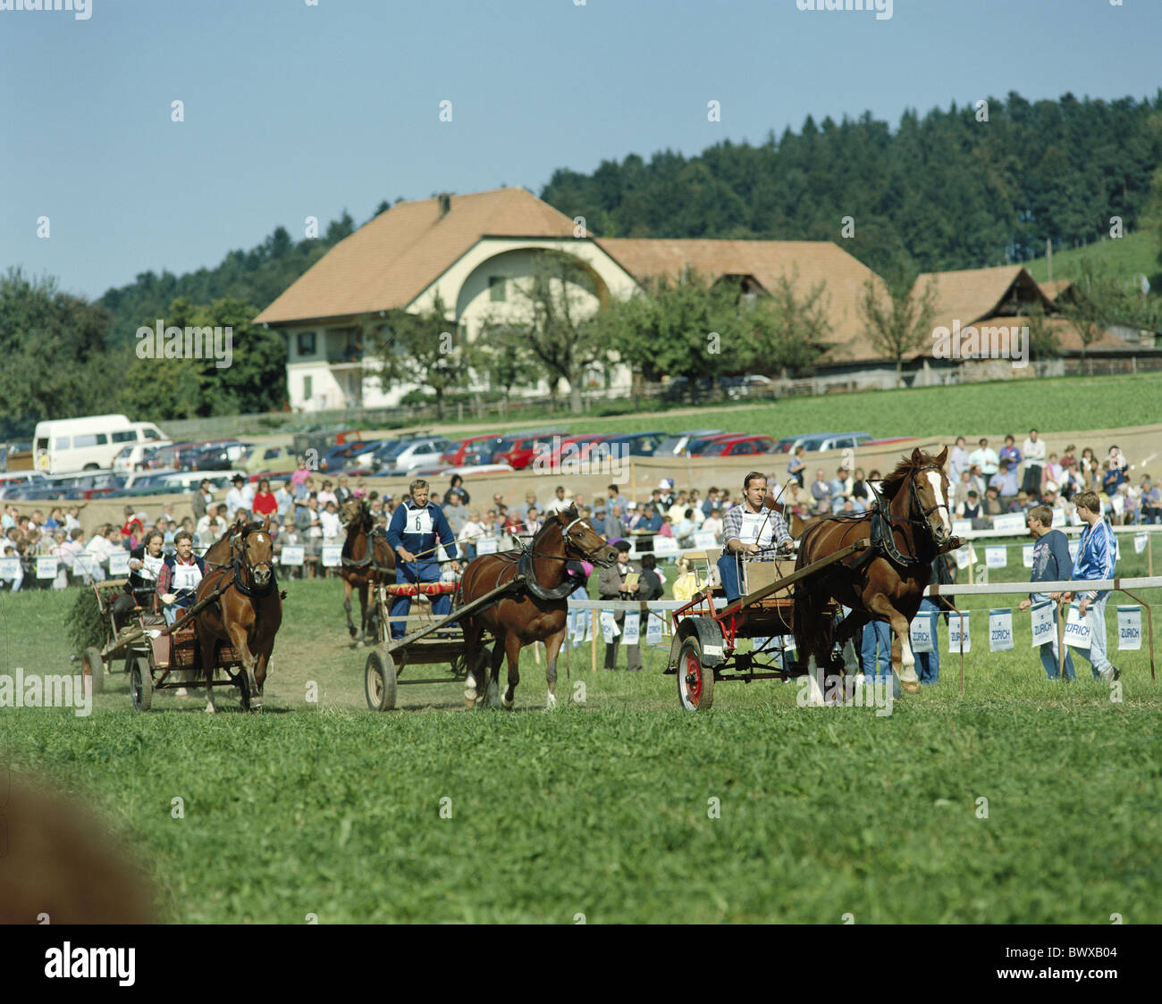 Granja de caballos encierros entrenadores tradición concurso folklore ejecutando el cantón de Berna estacionamientos castillo negro S Foto de stock