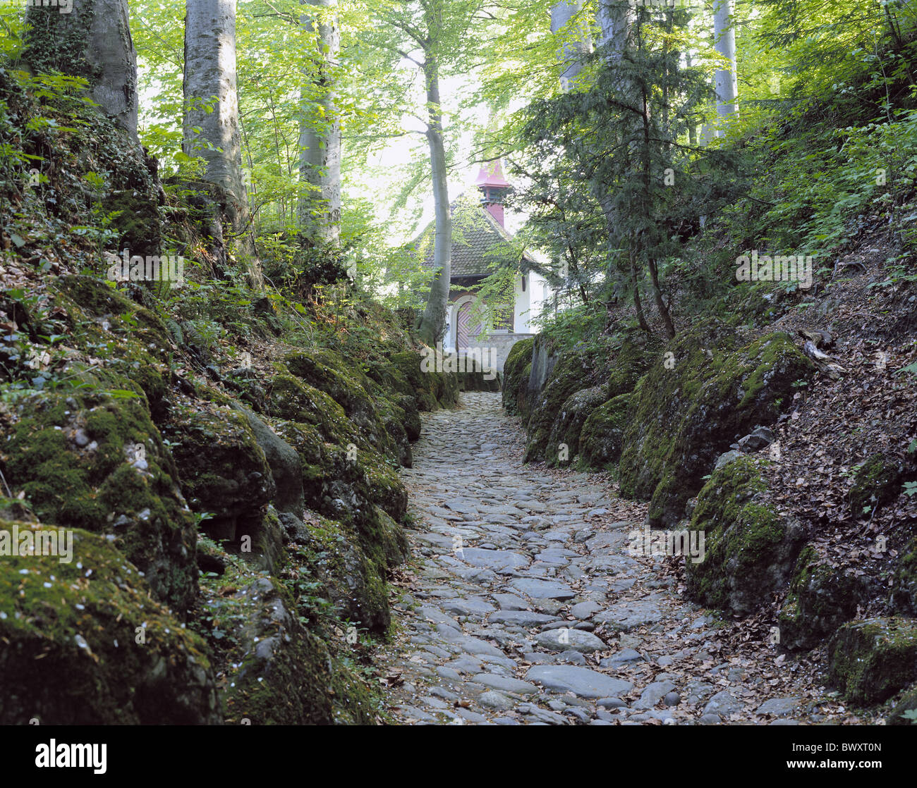 Europa Suiza Schwyz hollow lane capilla lugar histórico landvogt Gessler forest road Foto de stock