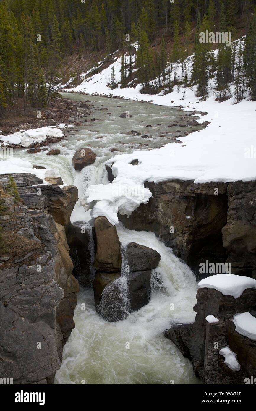 Río Sunwapta y cae en invierno, por la carretera Icefields Parkway, el Parque Nacional de Jasper, Alberta, Canadá Foto de stock
