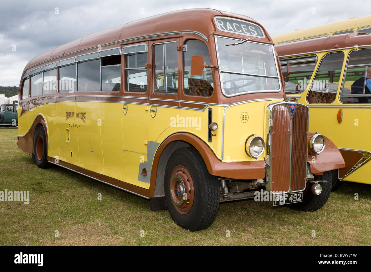 1951 AEC Regal lll half cab omnibus, la PPF 492, en el 2010 Goodwood Revival, Sussex, Inglaterra, Reino Unido. Foto de stock