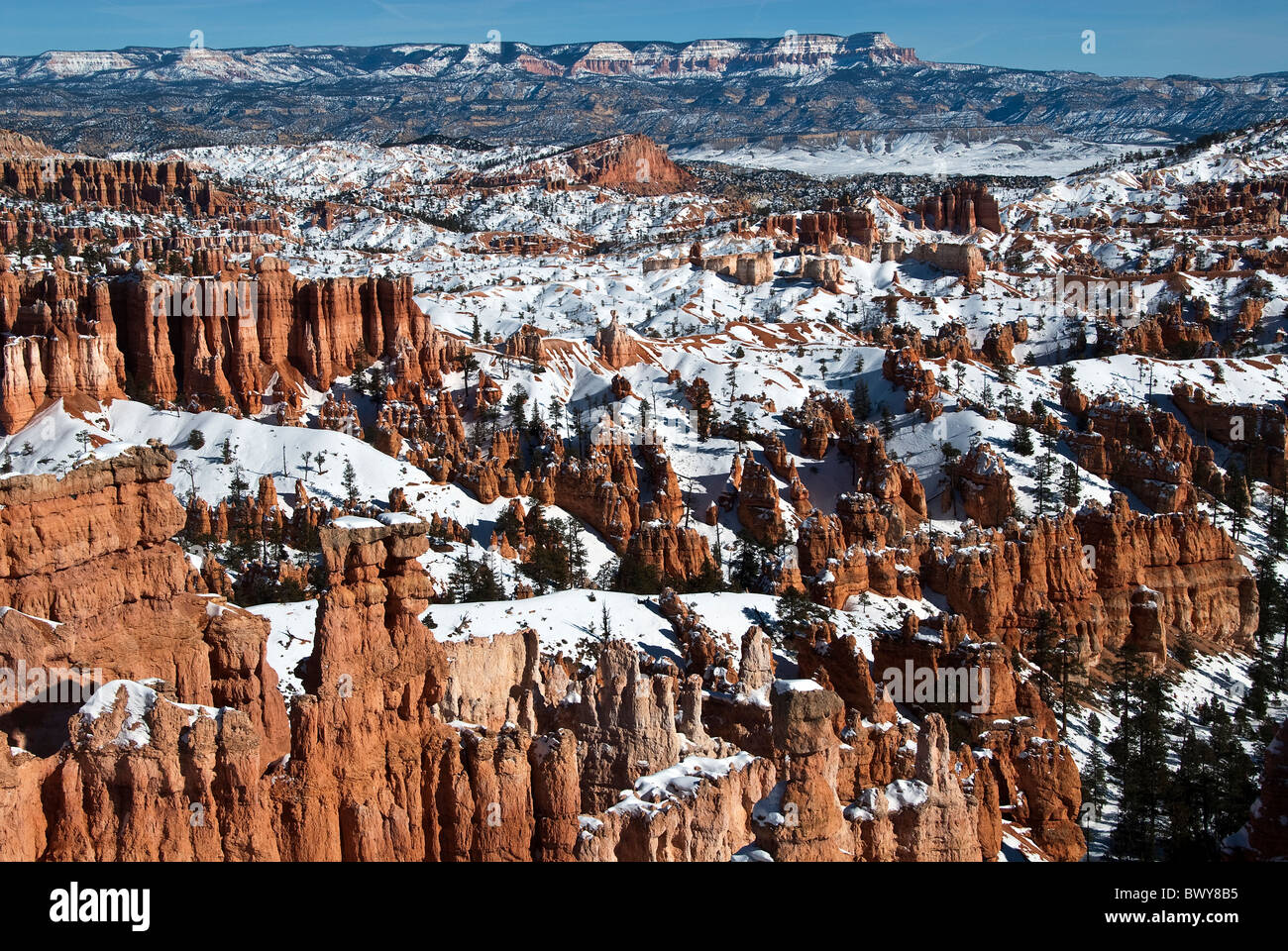 Cubiertas de nieve desde Hoodoos Navajo Trail Bryce Canyon National Park Utah, EE.UU. Foto de stock