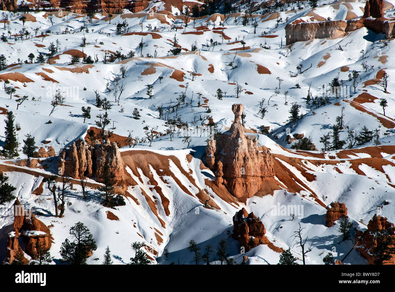 Cubiertas de nieve desde Hoodoos Navajo Trail Bryce Canyon National Park Utah, EE.UU. Foto de stock
