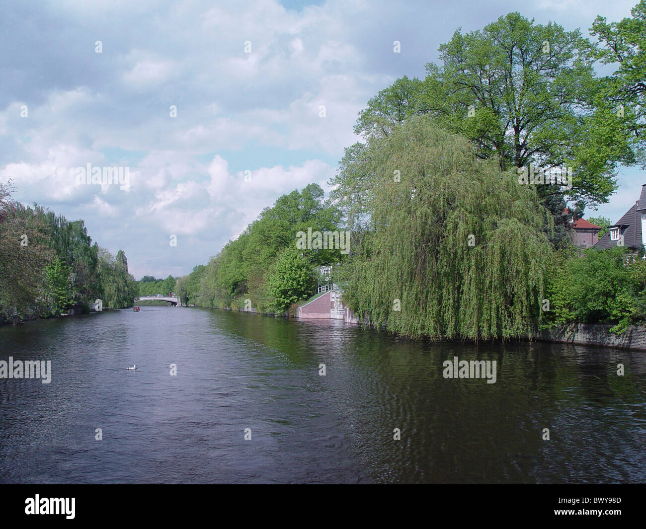 Árboles de Europa Alemania Alster Hamburgo canal canal de agua paisaje Foto de stock
