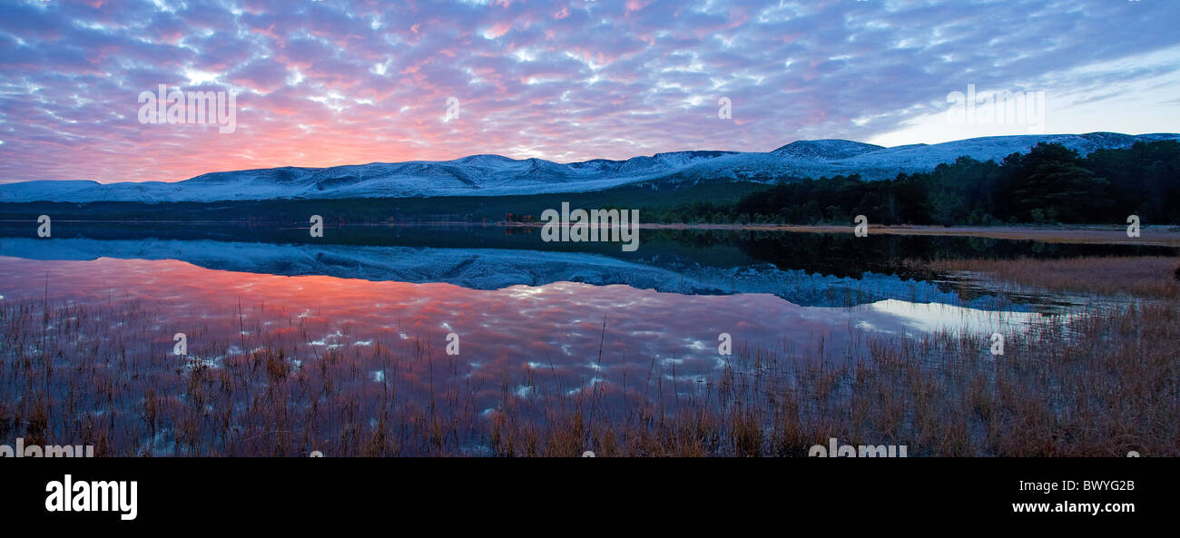 Amanecer en Loch Morlich, Cairngorms, tierras altas de Escocia Foto de stock