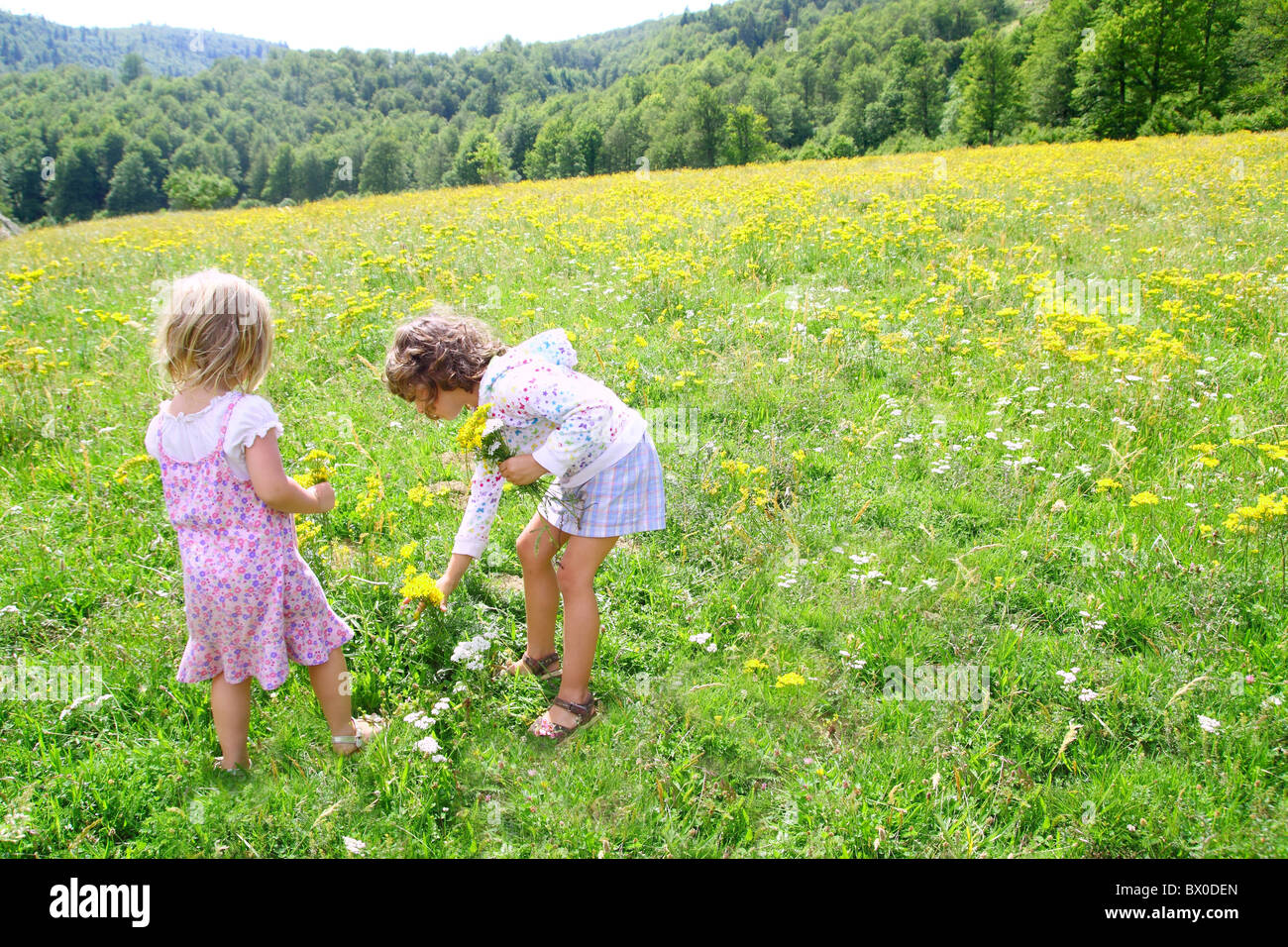 La hermana de niñas en pastizales jugando con las flores de la primavera al aire libre Foto de stock