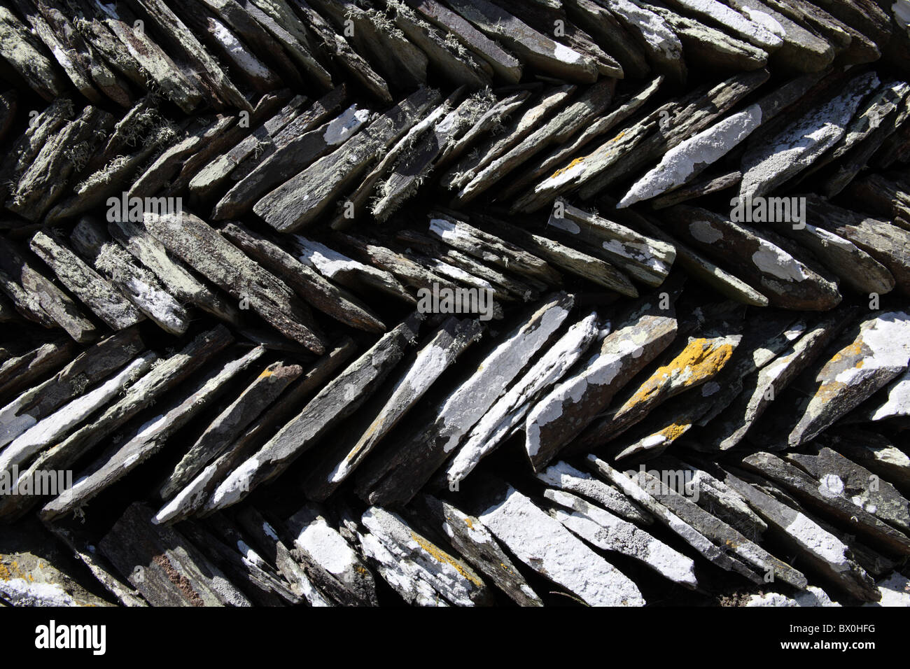 Cubiertos de musgos y líquenes espiguilla bancales de piedra seca cerca de Tintagel, Cornwall Foto de stock