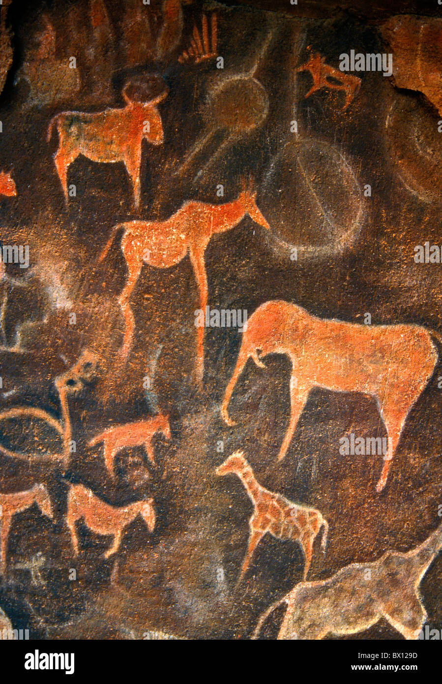 Animales de pintura rupestre fotografías e imágenes de alta resolución -  Alamy