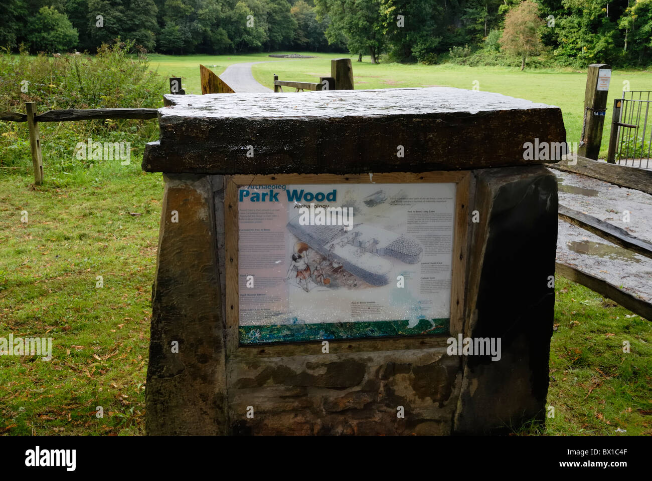 La placa de la pantalla mostrando el neolítico septadas cairn en Park Woods, Gower, Wales. Foto de stock
