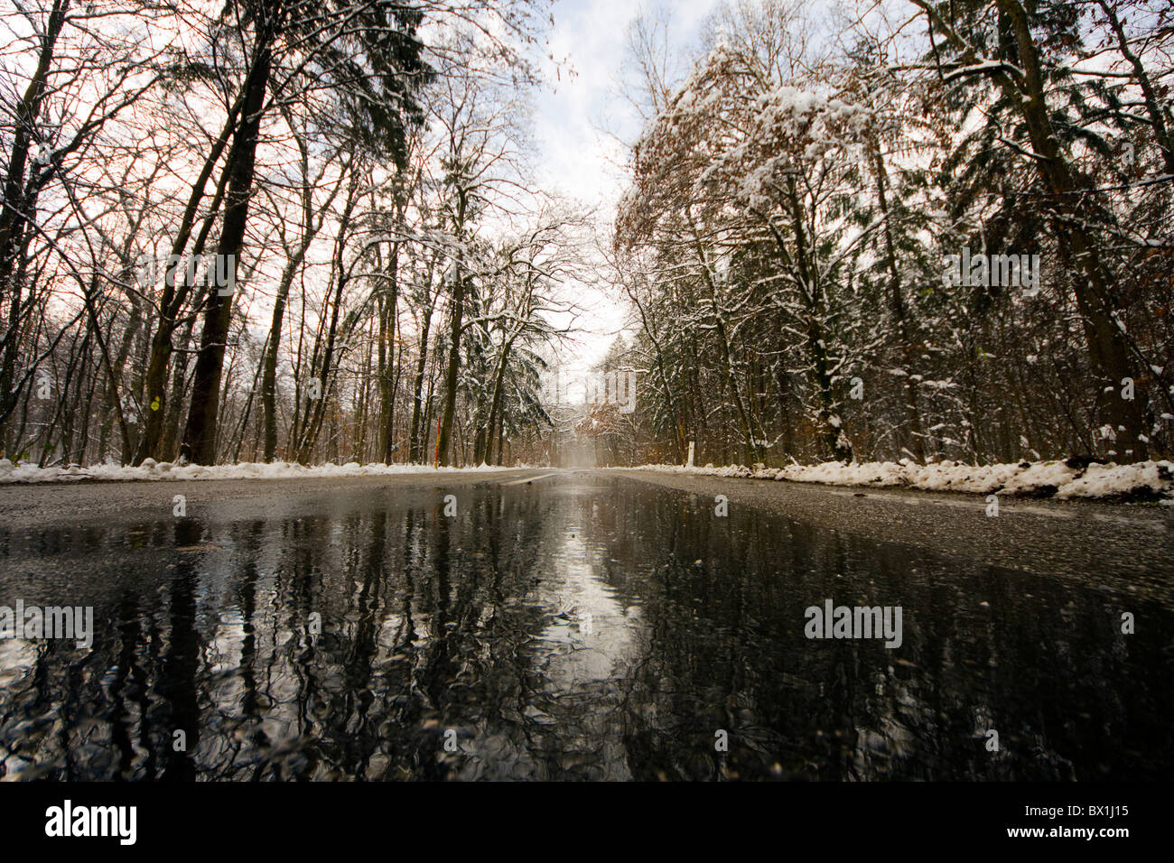 Hielo en la carretera del bosque en la fría mañana de invierno. Foto de stock
