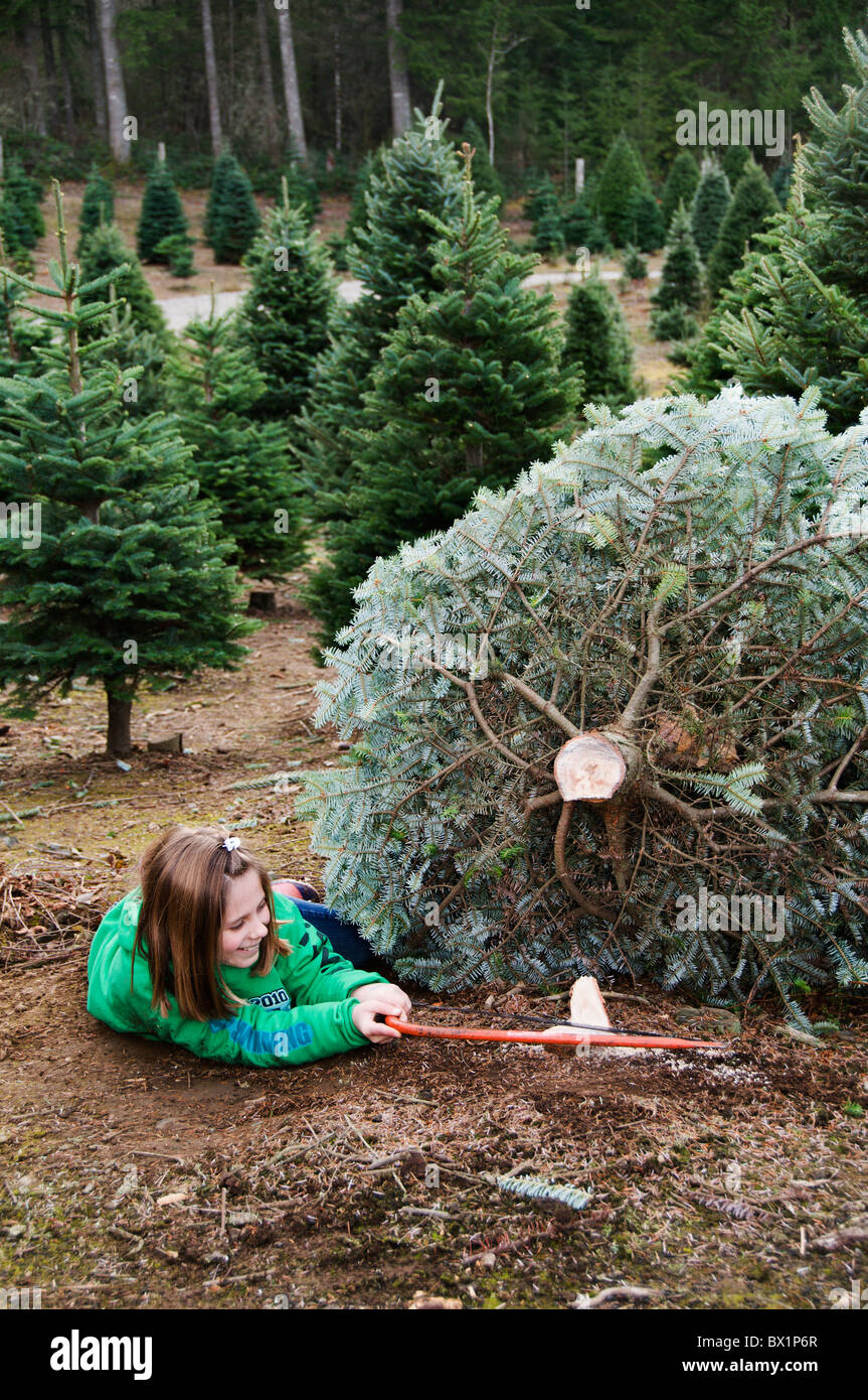 Una niña reduce correctamente un árbol en una granja de árboles para llevar  a casa y decorar para Navidad Fotografía de stock - Alamy