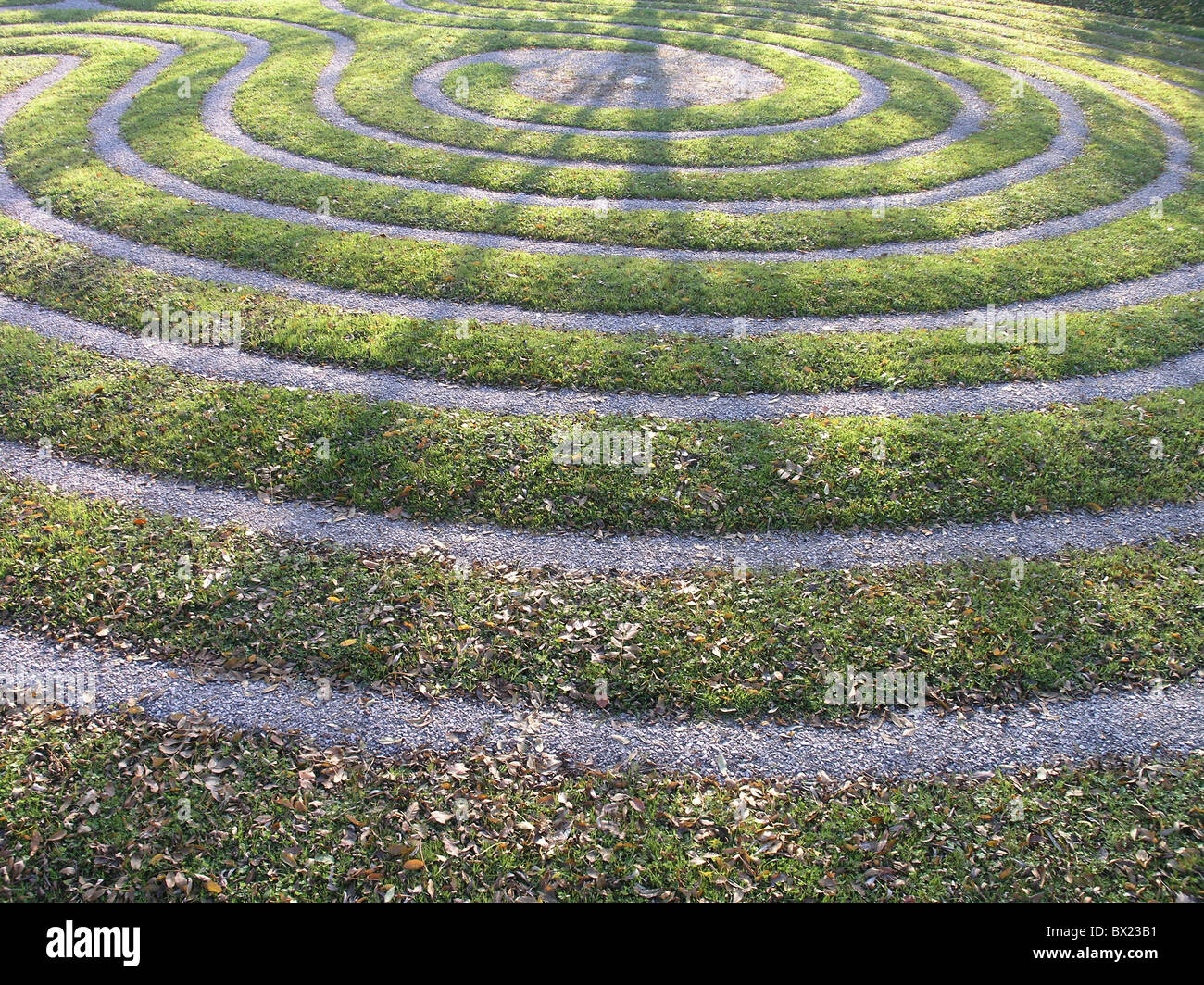 Círculos líneas césped anillos pradera estructura espiral Foto de stock