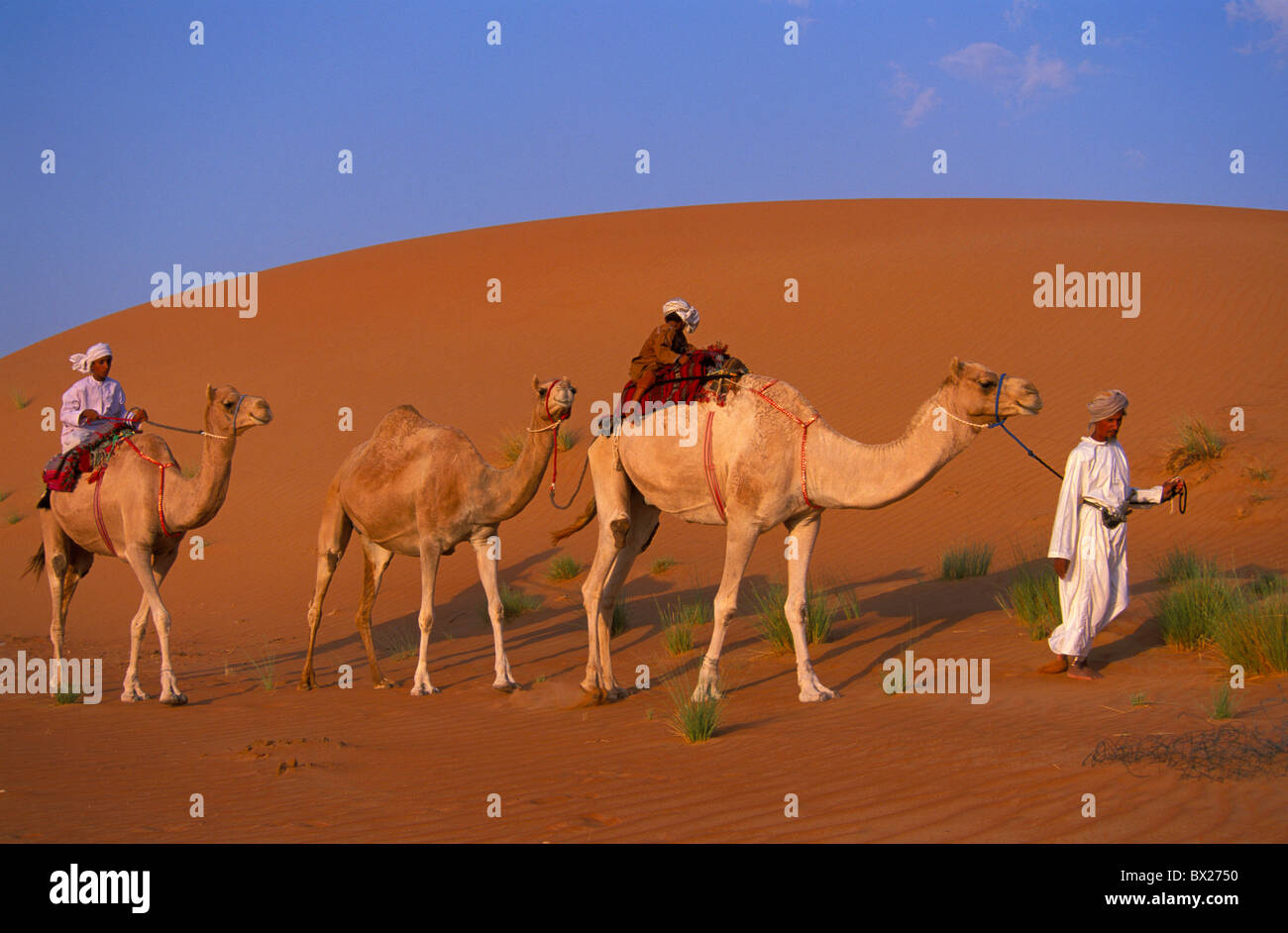 Familia de beduinos caravana de camellos camello dunas de arena