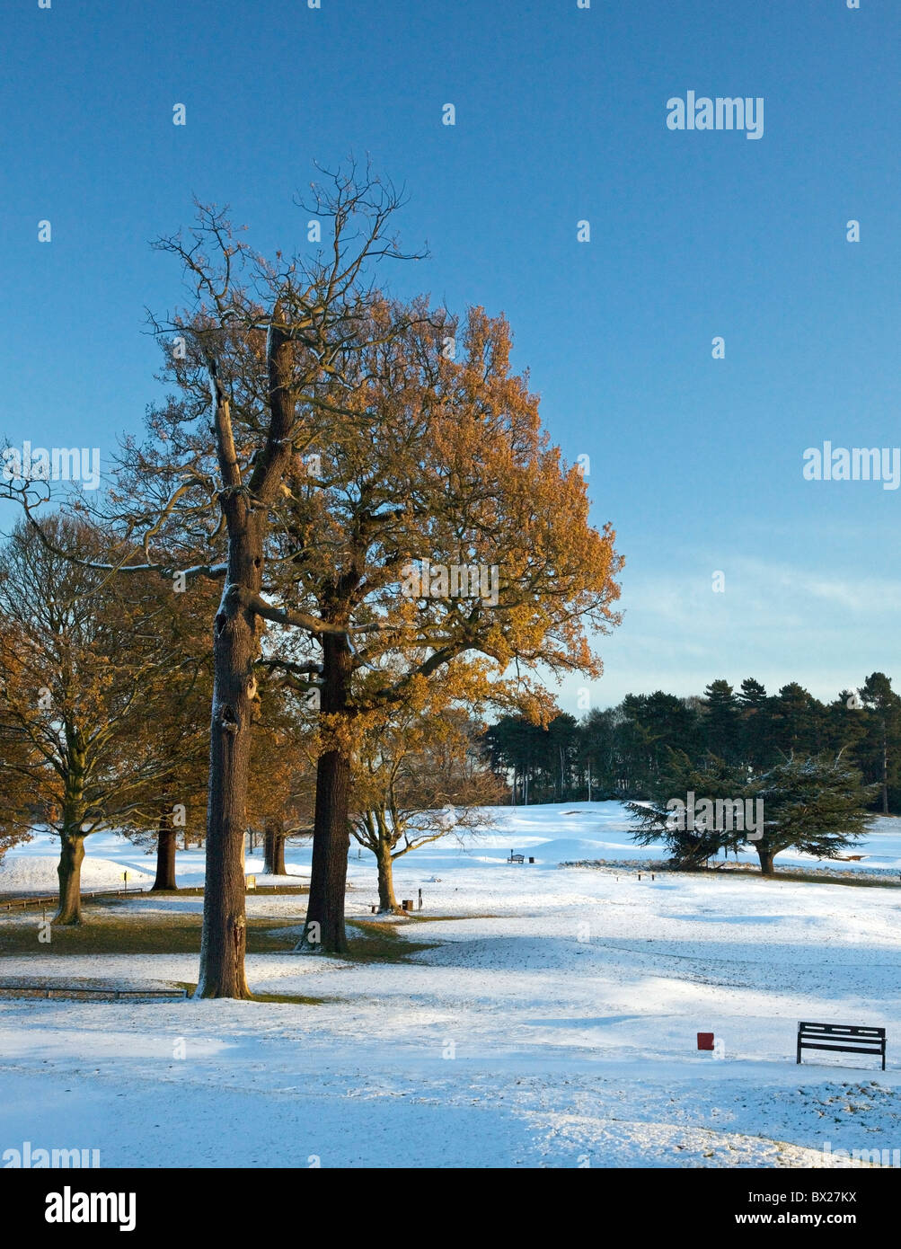 La 11t en invierno, Wollaton Park Golf Club, Nottingham Foto de stock