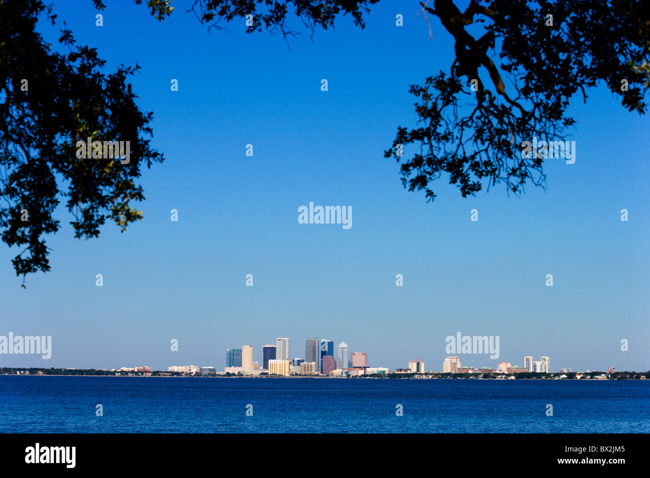 El horizonte de la ciudad a través de la reactancia de Tampa Bay Point Park, Península Interbay, Tampa, Florida, EE.UU. Foto de stock