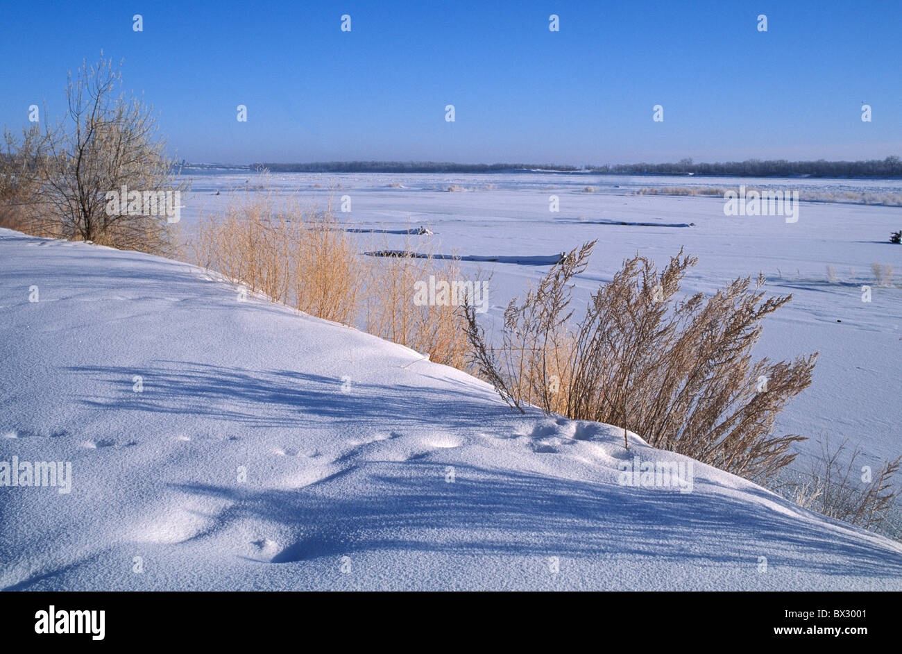 Dakota del Norte congelado río Missouri, ESTADOS UNIDOS DE AMÉRICA Estados  Unidos de América del Norte cerca de invierno Wasburn Fotografía de stock -  Alamy