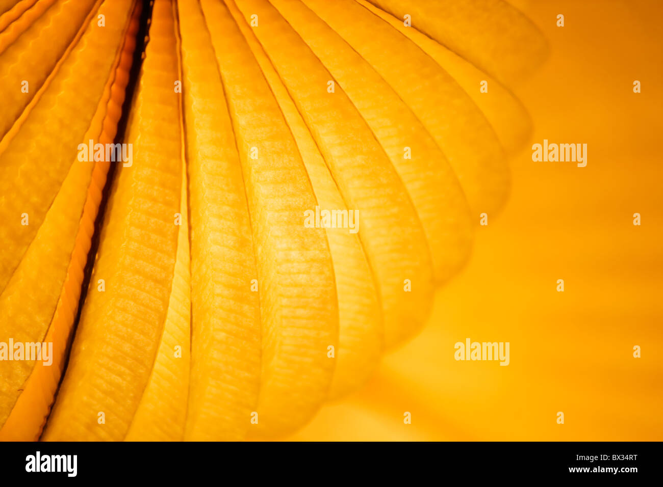 Linterna de papel chino en iluminar la luz naranja en la noche Foto de stock