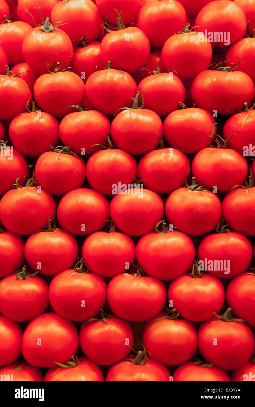 Los tomates en la exhibición en Barcelona, España Foto de stock
