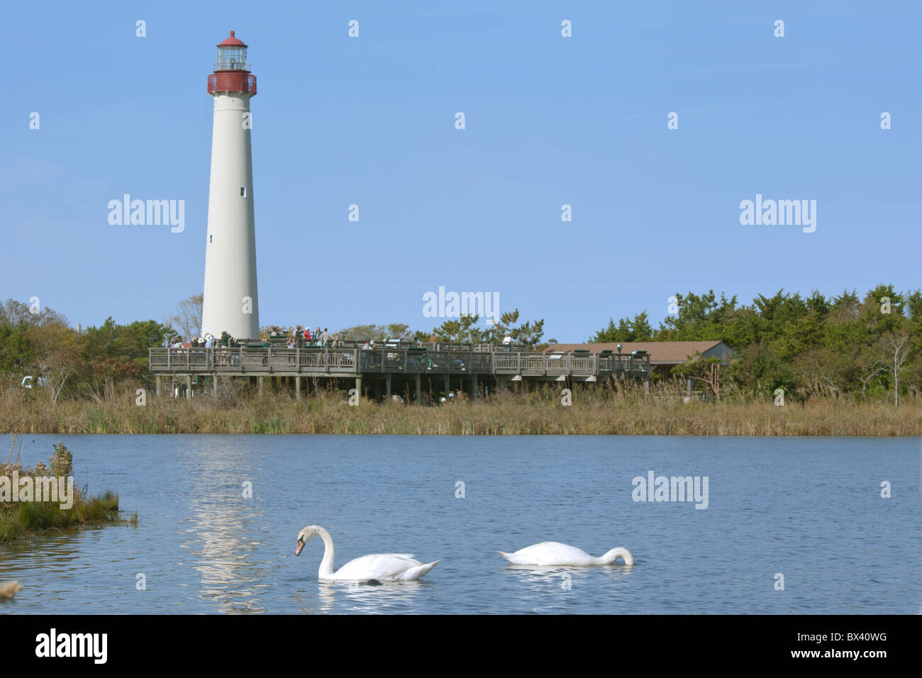 Hawk Watch Plataforma en Cape May en Nueva Jersey Foto de stock