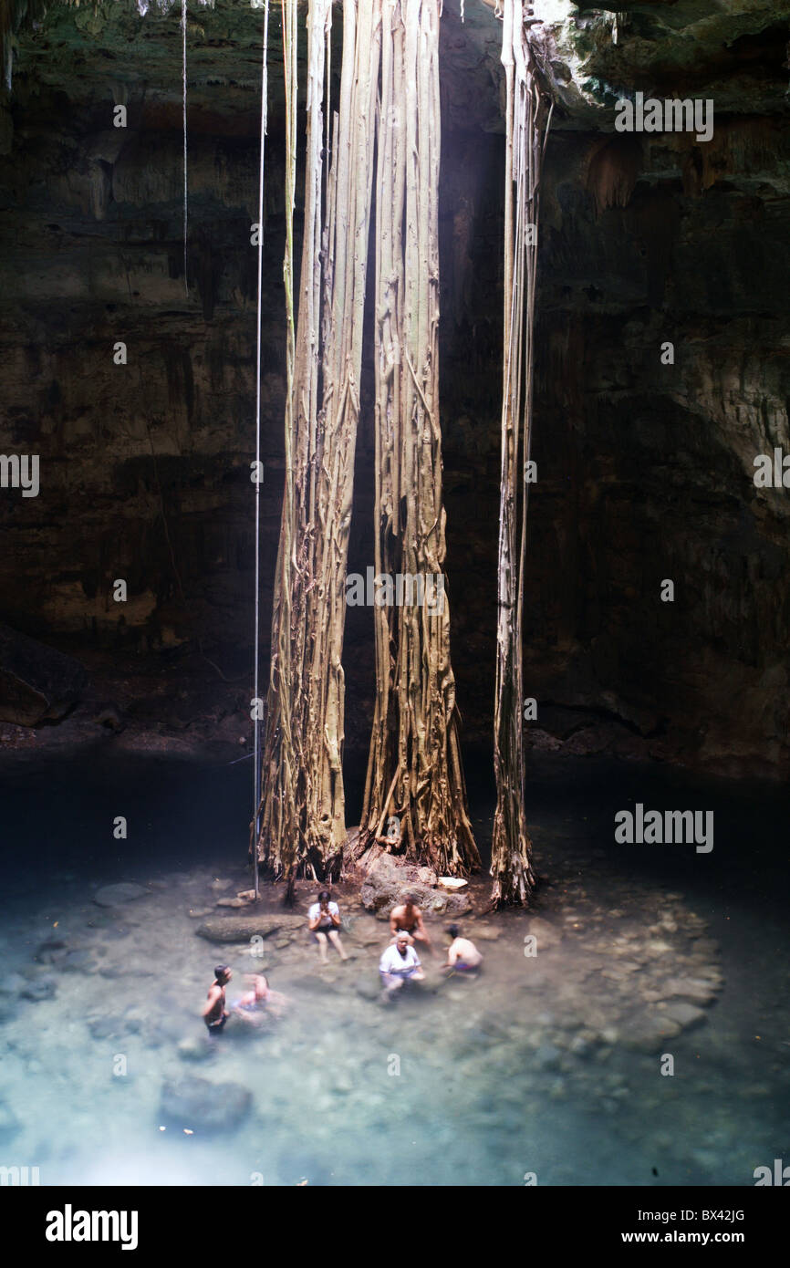 México Centroamérica Yucatán Valladolid Cenote Samula cueva raíces espectáculo de la naturaleza de la incidencia de la luz wat Foto de stock