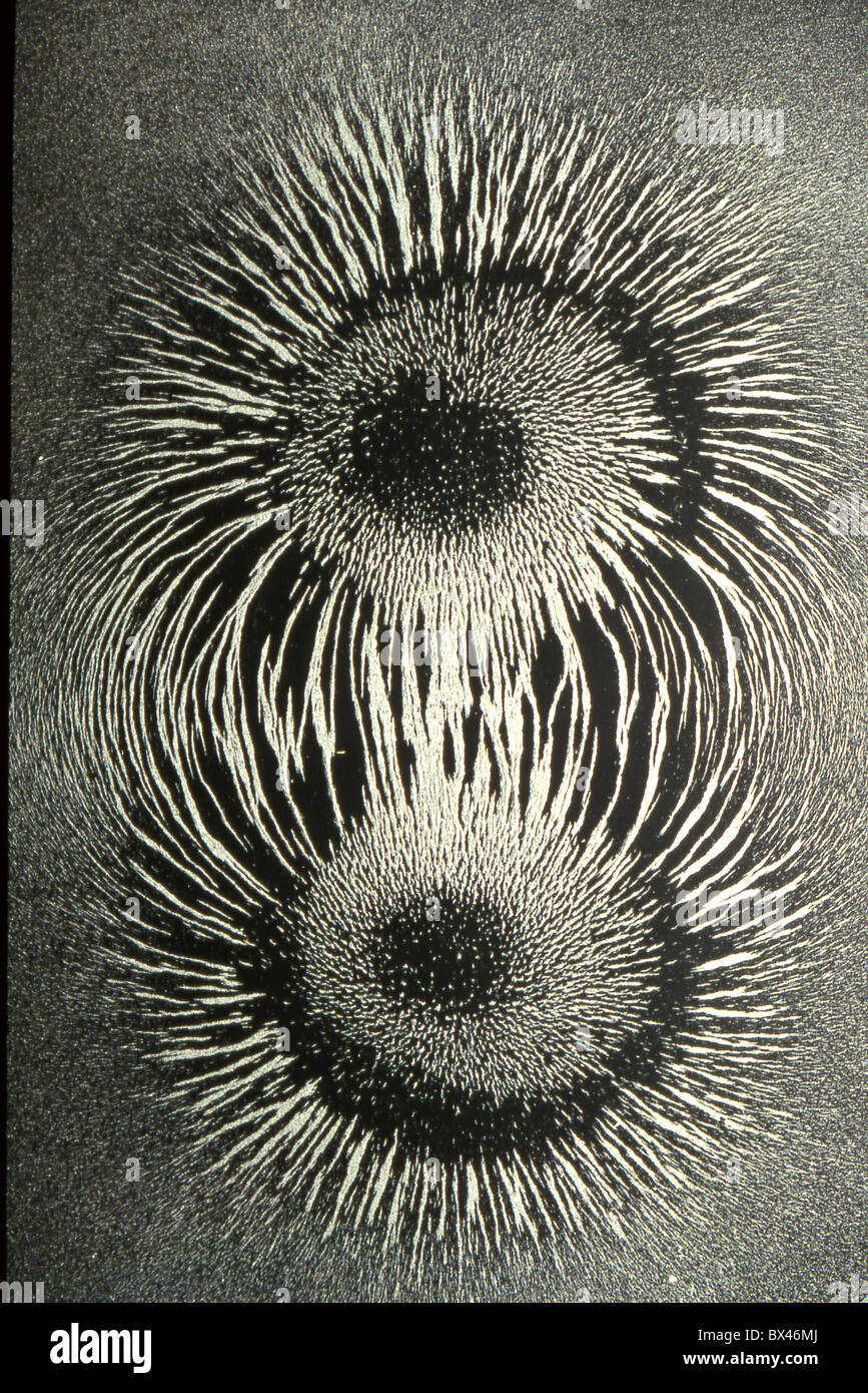 El campo magnético del imán chips hierro líneas del flujo física magnetismo  Fotografía de stock - Alamy