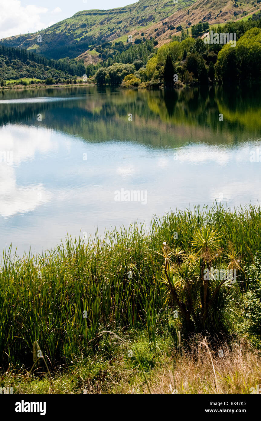 Pesca de trucha,Lago Tutira, la Hwy 2,Gisborne Road, North Island