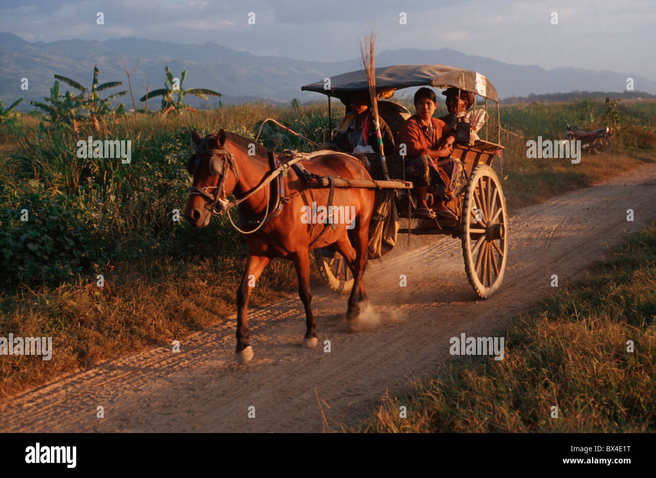 Entrenador de caballos coach forma caballo buggy Droscke agricultor con un caballo forastero viudo de pasto cerca del transporte en Foto de stock