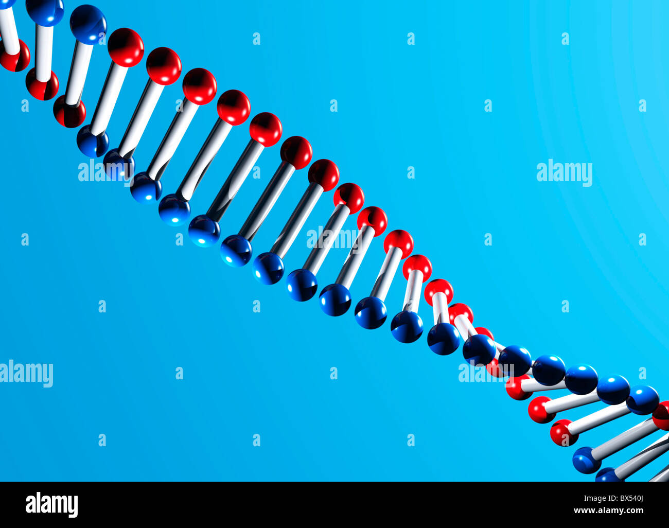 Molécula de ADN, ilustraciones Foto de stock