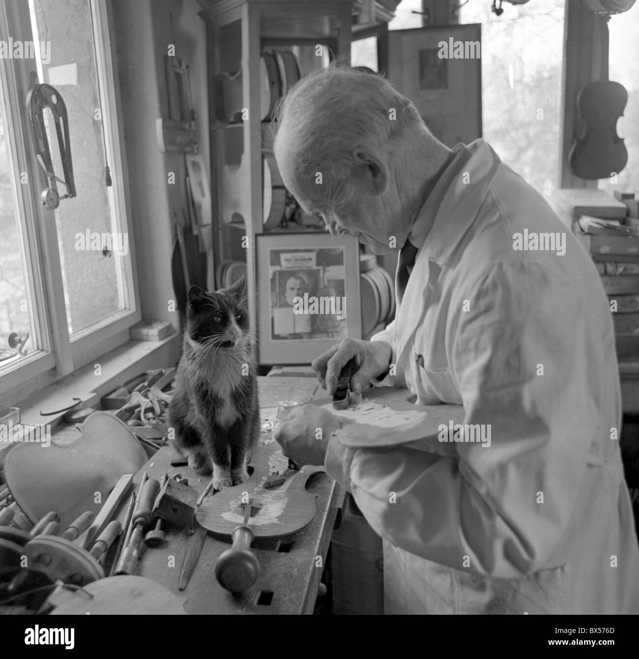 Violín-maker Frantisek Xaver Drozen con su gato en su tienda. Turnov,  Checoslovaquia en 1965. CTK Foto / Oldrich Picha Fotografía de stock - Alamy
