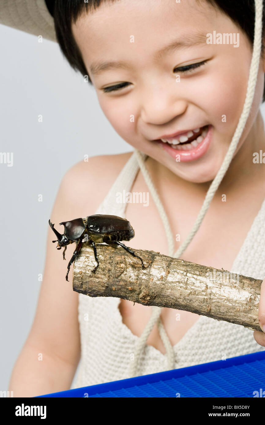 Chico mirando en gran escarabajo Foto de stock