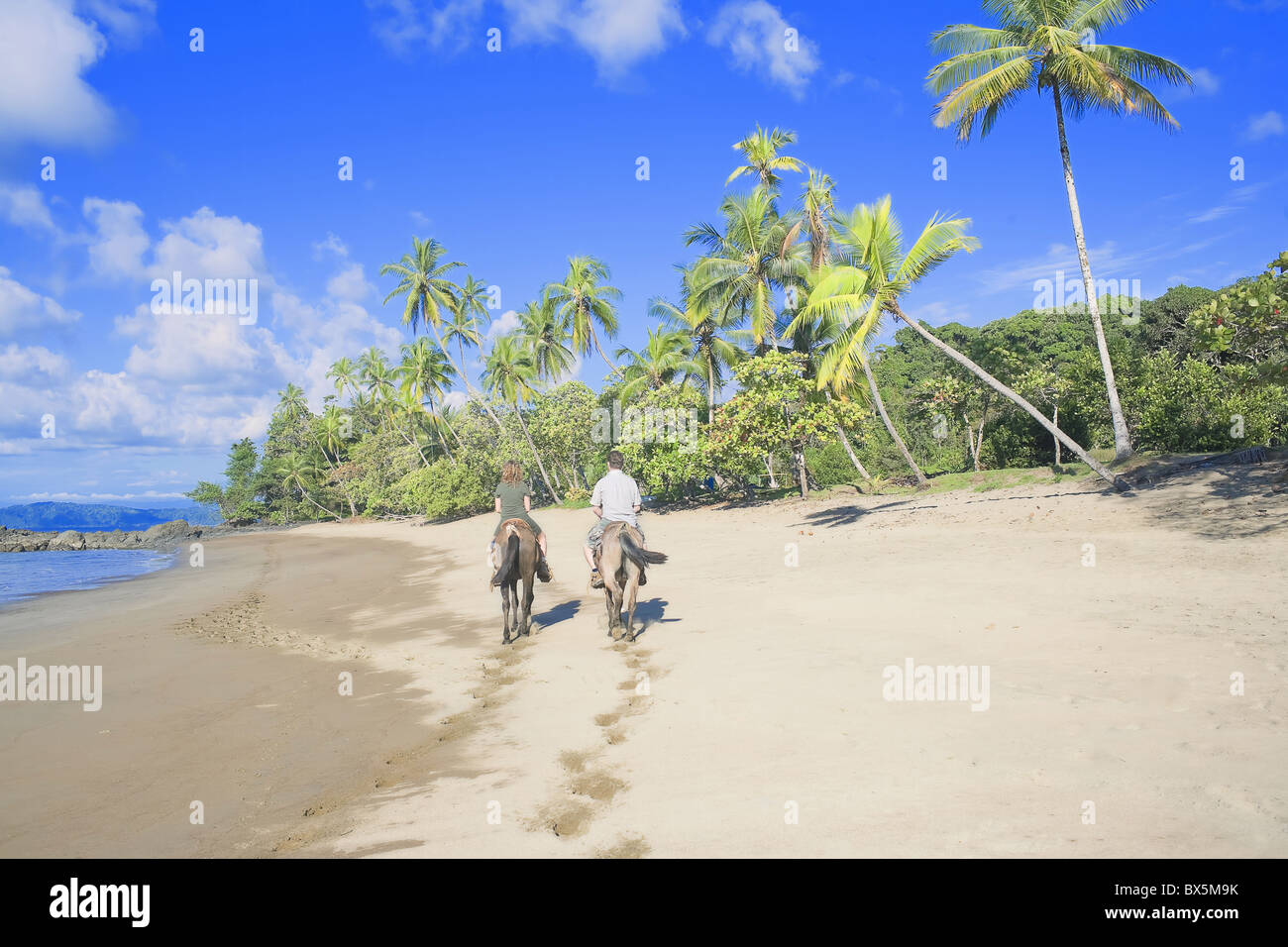 Paseos a caballo en la playa tropical, Bahía Drake, Península de Osa, Costa Rica, Centroamérica Foto de stock