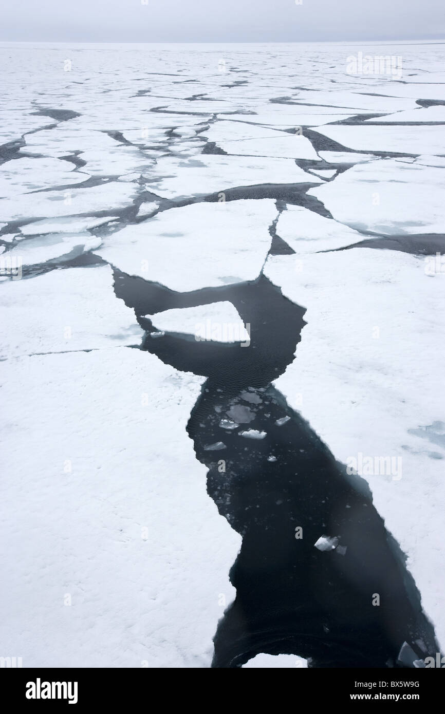 Témpano de hielo a la deriva, Groenlandia, el Ártico, las regiones polares Foto de stock