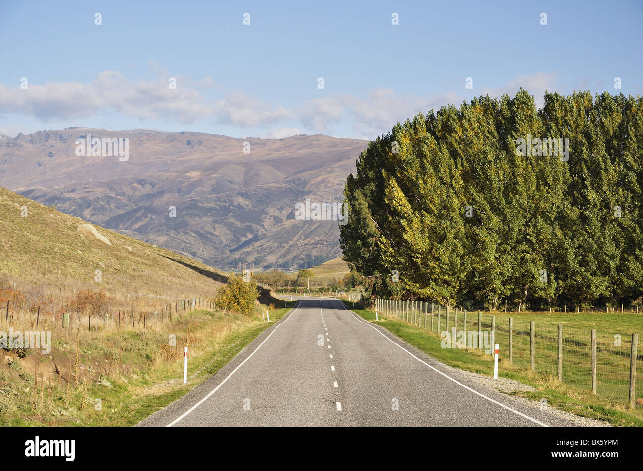 A Tarras Lindis Pass Road, cerca de Tarras, Otago, Isla del Sur, Nueva Zelanda, el Pacífico Foto de stock
