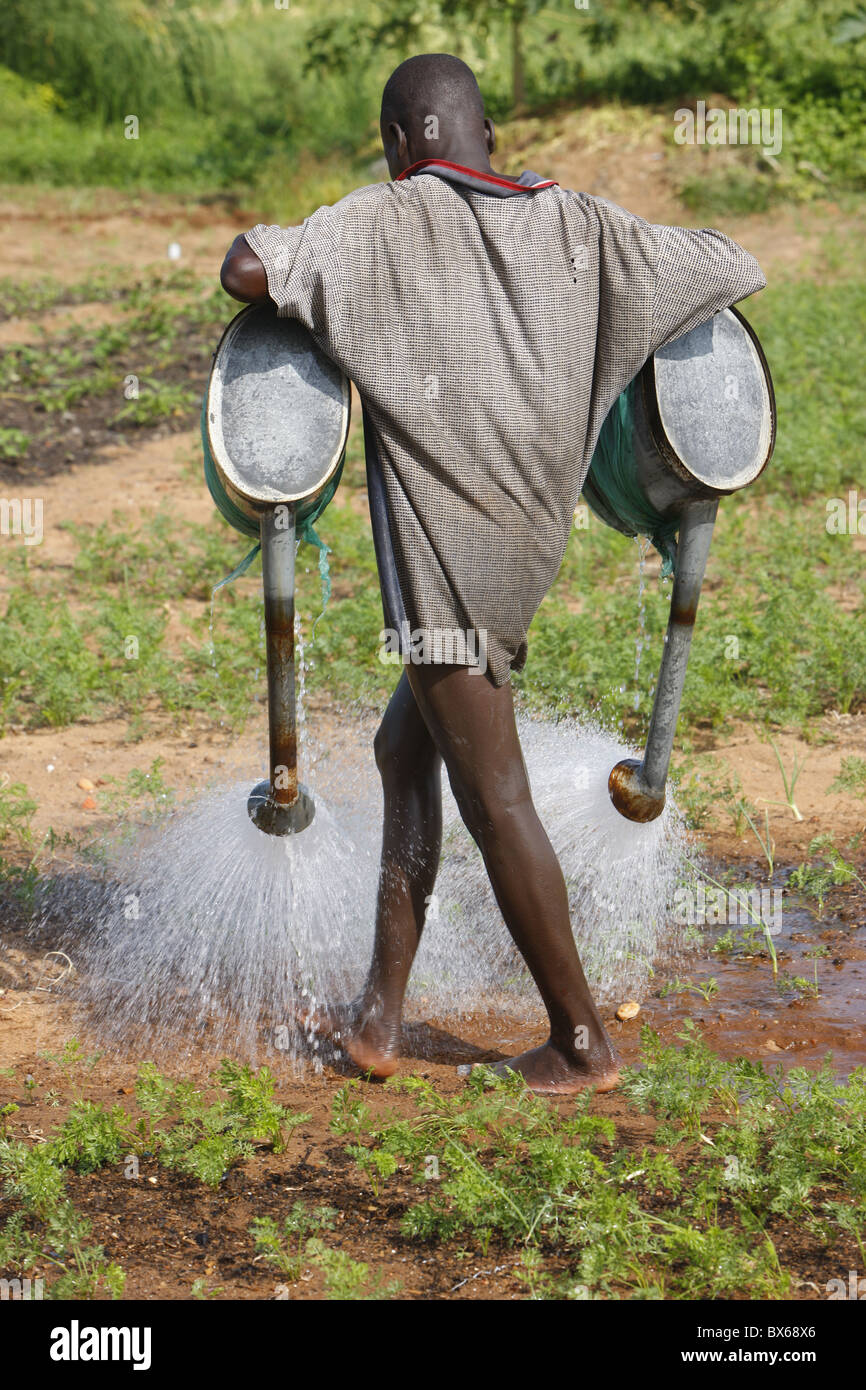 Agricultor regar sus cultivos, cerca de Lomé, Togo, África occidental, África Foto de stock