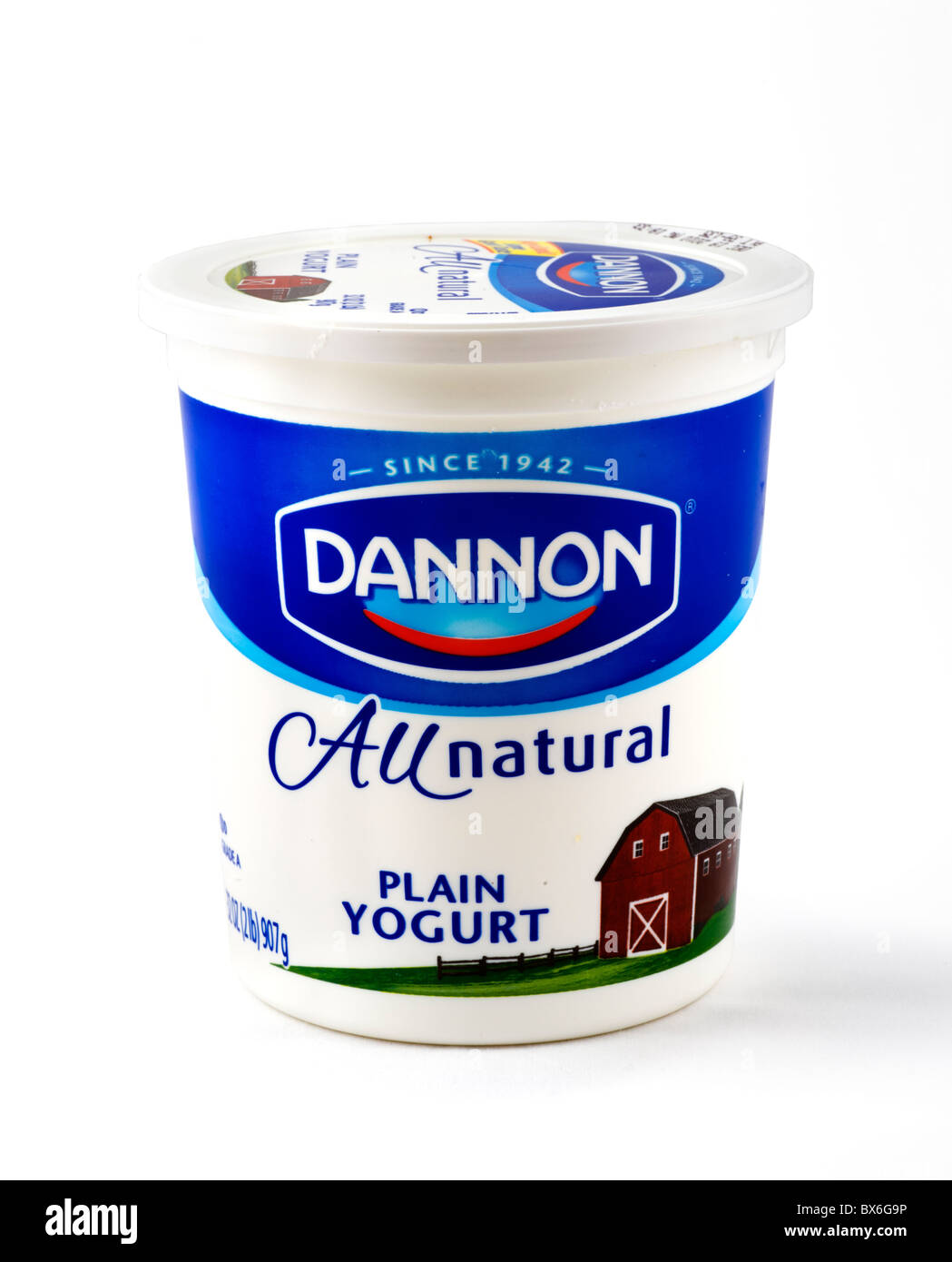 Una olla grande de Dannon, yogur natural, EE.UU. Foto de stock