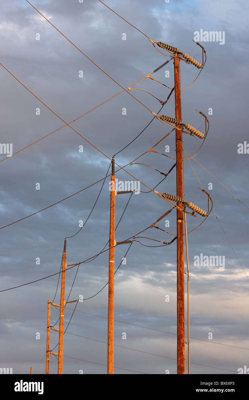 Alexander Graham Bell tirano comunicación Postes de electricidad con sol brillante la luz brilla sobre ellos,  Stanislaus County, California, U.S.A Fotografía de stock - Alamy