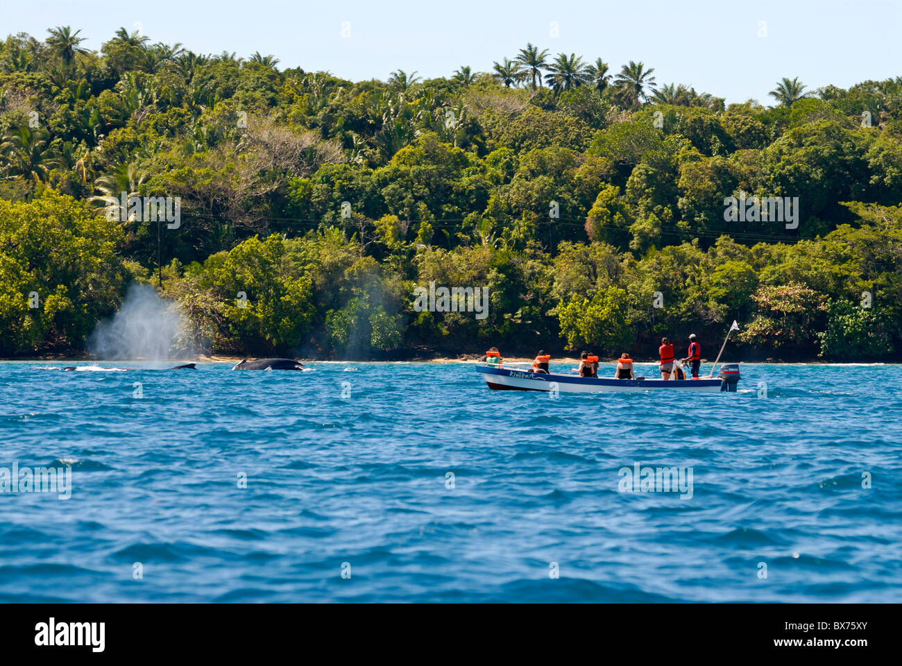 Los turistas viendo una ballena jorobada (Megaptera novaeangliae), Ile Sainte Marie, Madagascar, el Océano Índico, África Foto de stock