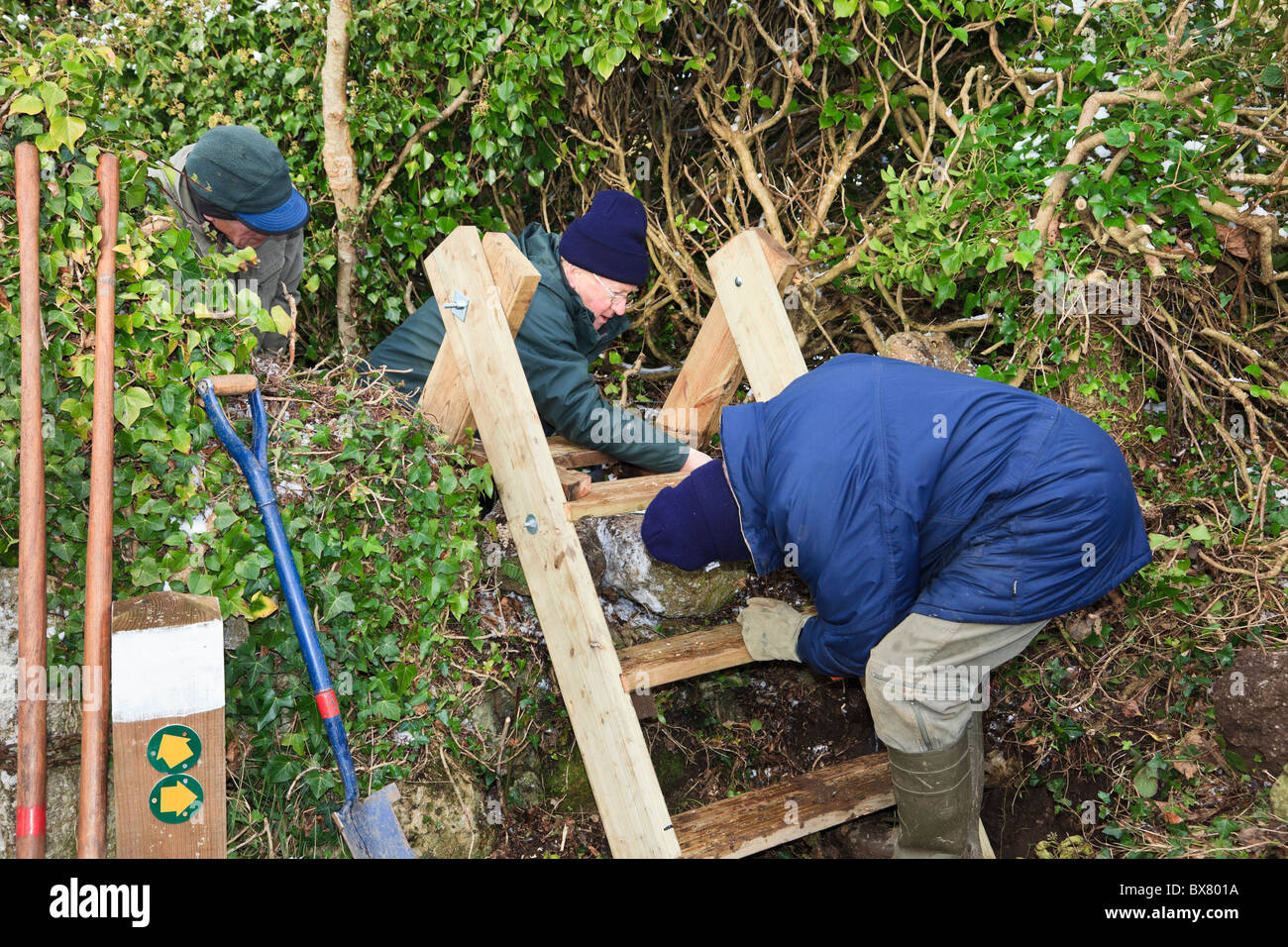 Ramblers voluntarios construyendo una escalera stile en un país sendero. País de Gales, Reino Unido, Gran Bretaña. Foto de stock