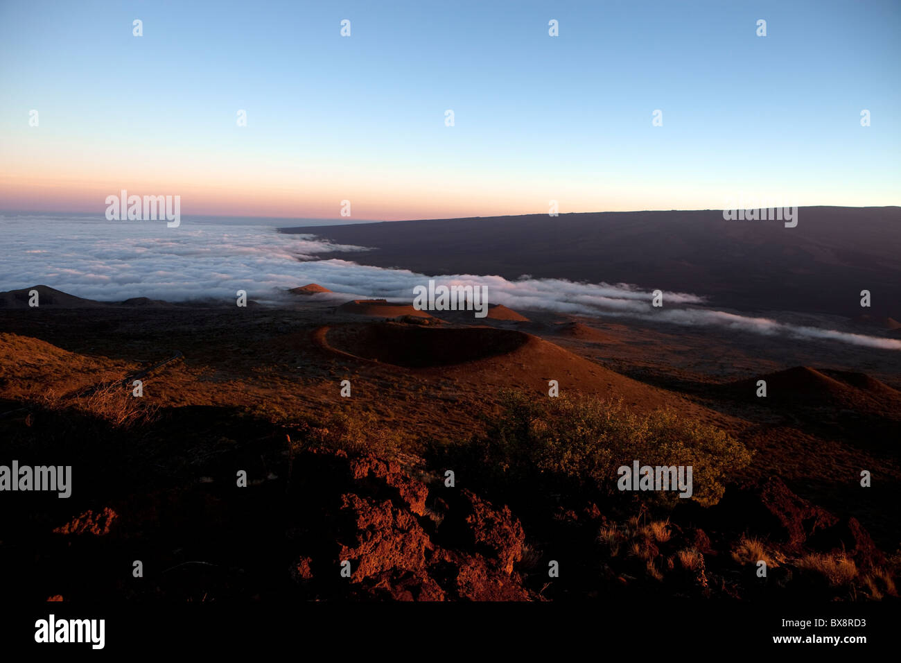 Atardecer en Mauna Kea, en Hawaii, con vistas de antiguos cráteres volcánicos con nubes por debajo. Aves Ver Foto de stock
