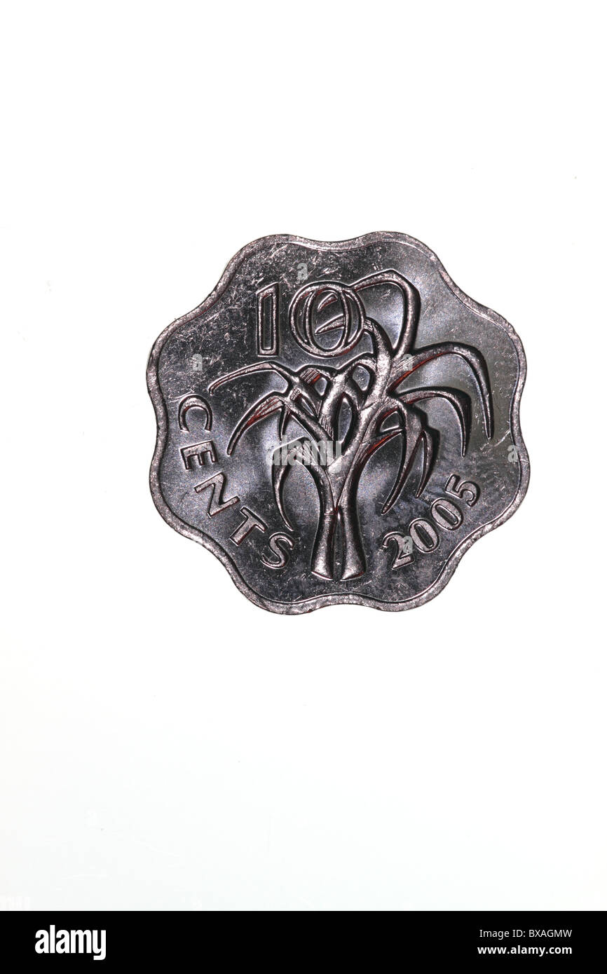 Eswatini 10 centavos de moneda post 1995 diseño. Reverso con caña de azúcar. Swazilandia pasó a llamarse Reino de Eswatini en 2018. Foto de stock