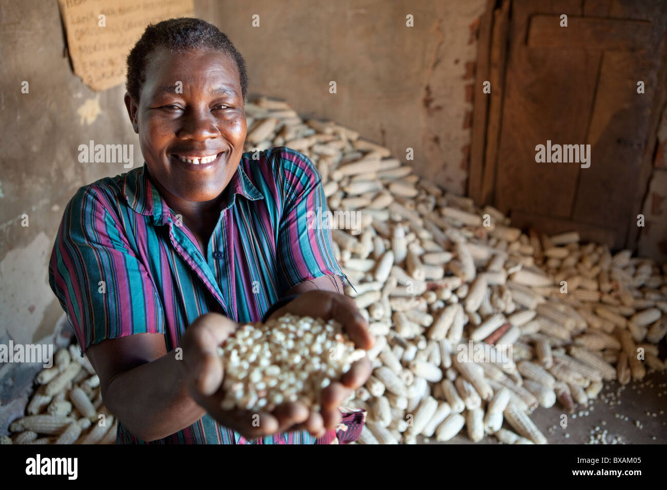 Una mujer sostiene un puñado de granos de maíz en Iganga, Uganda, África Oriental Foto de stock