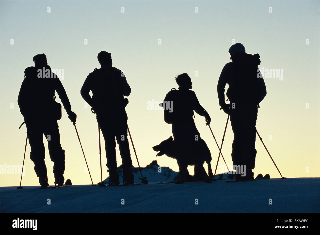 Siluetas de compañía de esquiadores con perros, de pie en la parte superior de la colina Foto de stock