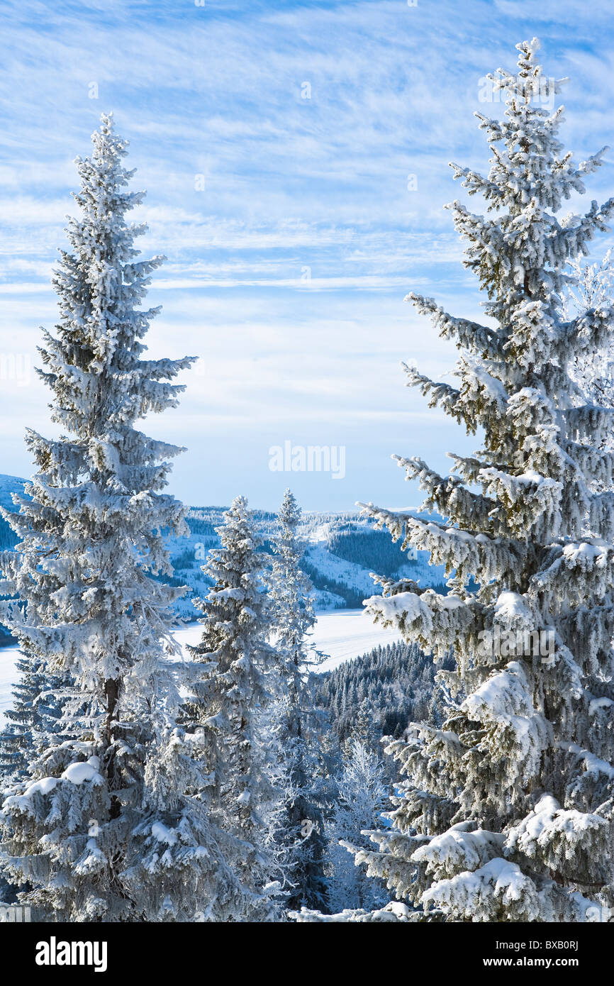 Paisaje de invierno Foto de stock