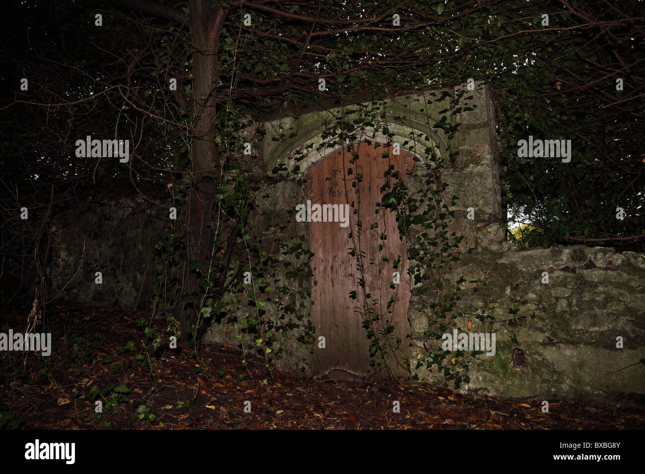 Puerta secreta en la pared del bosque por linterna Castillo Bodelwyddan, North Wales Foto de stock