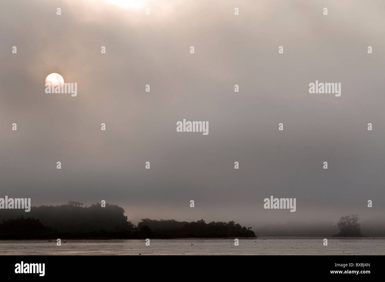 Hermosa sunrising en el río Napo en la cuenca amazónica del Ecuador Foto de stock