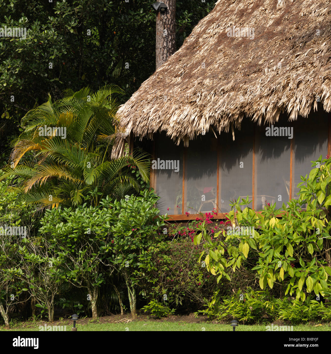 Belice, Centroamérica Foto de stock