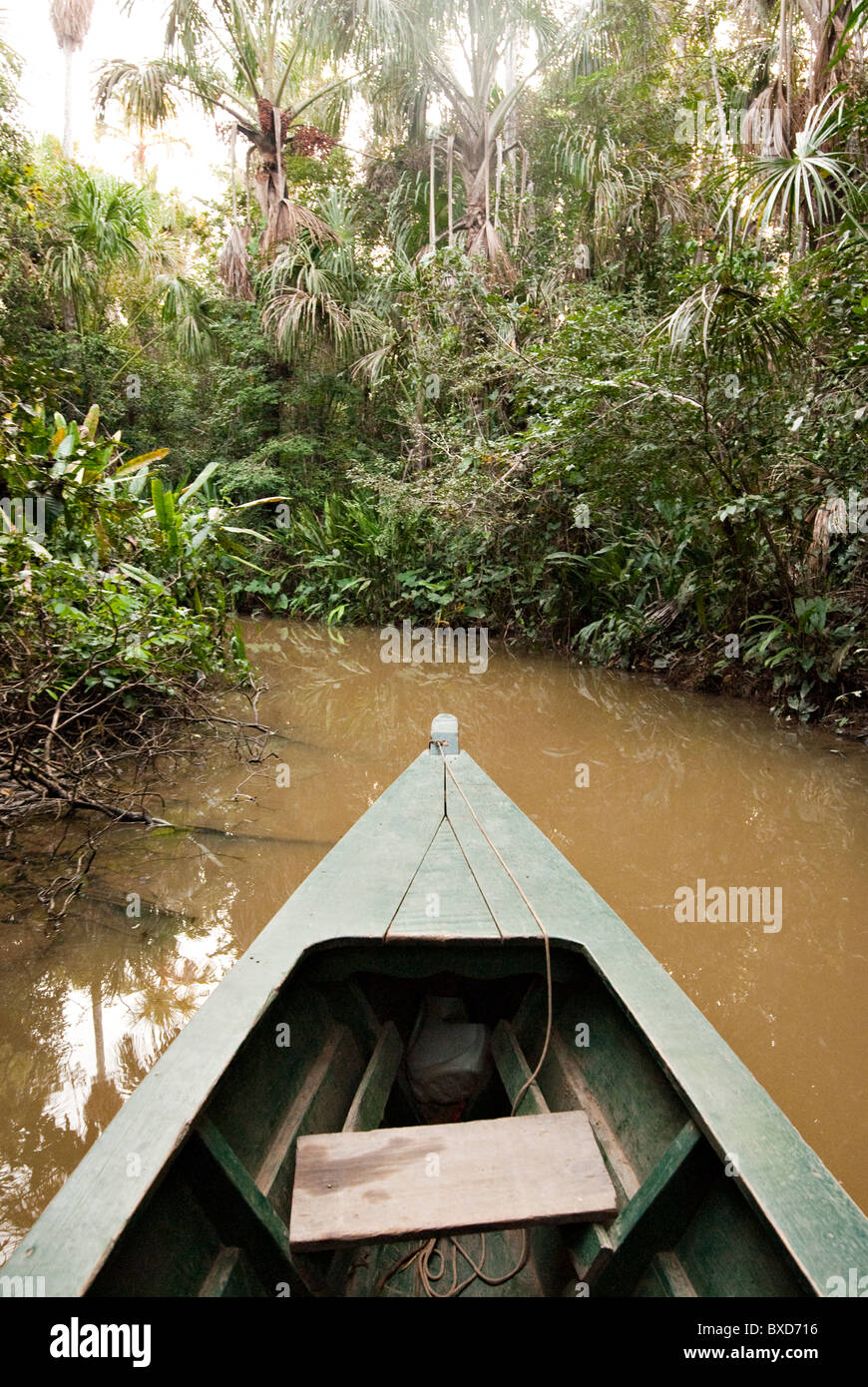 Una canoa de madera de árbol Eucylptus flotantes en el río Amazonas y afluentes de conexión en la selva. Foto de stock