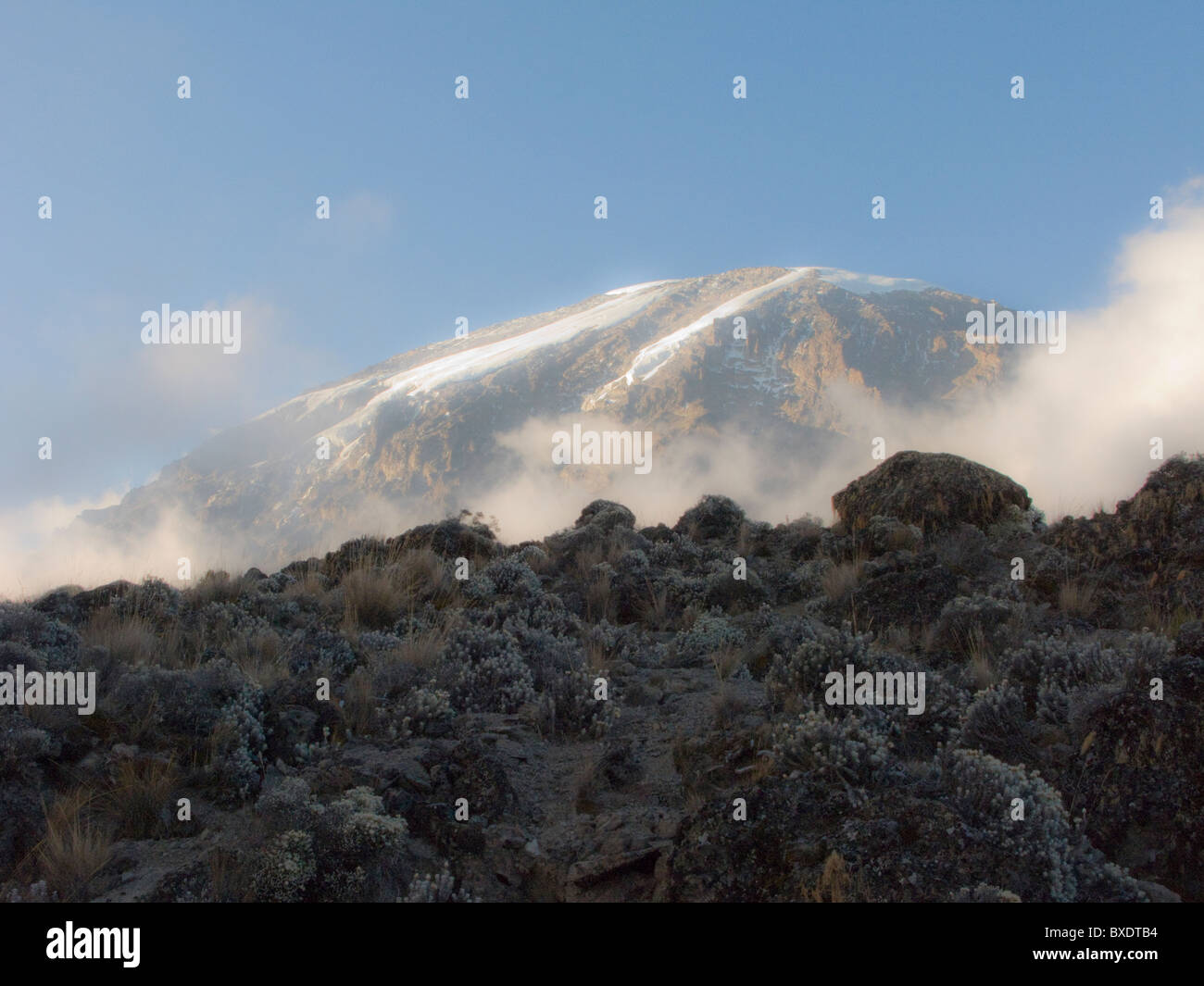 La cumbre del Kilimanjaro mira desde abajo aumento de bruma y nubes en los valles de abajo. Foto de stock
