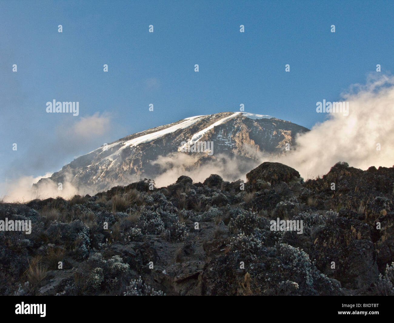 La cumbre del Kilimanjaro mira desde abajo aumento de bruma y nubes en los valles de abajo. Foto de stock