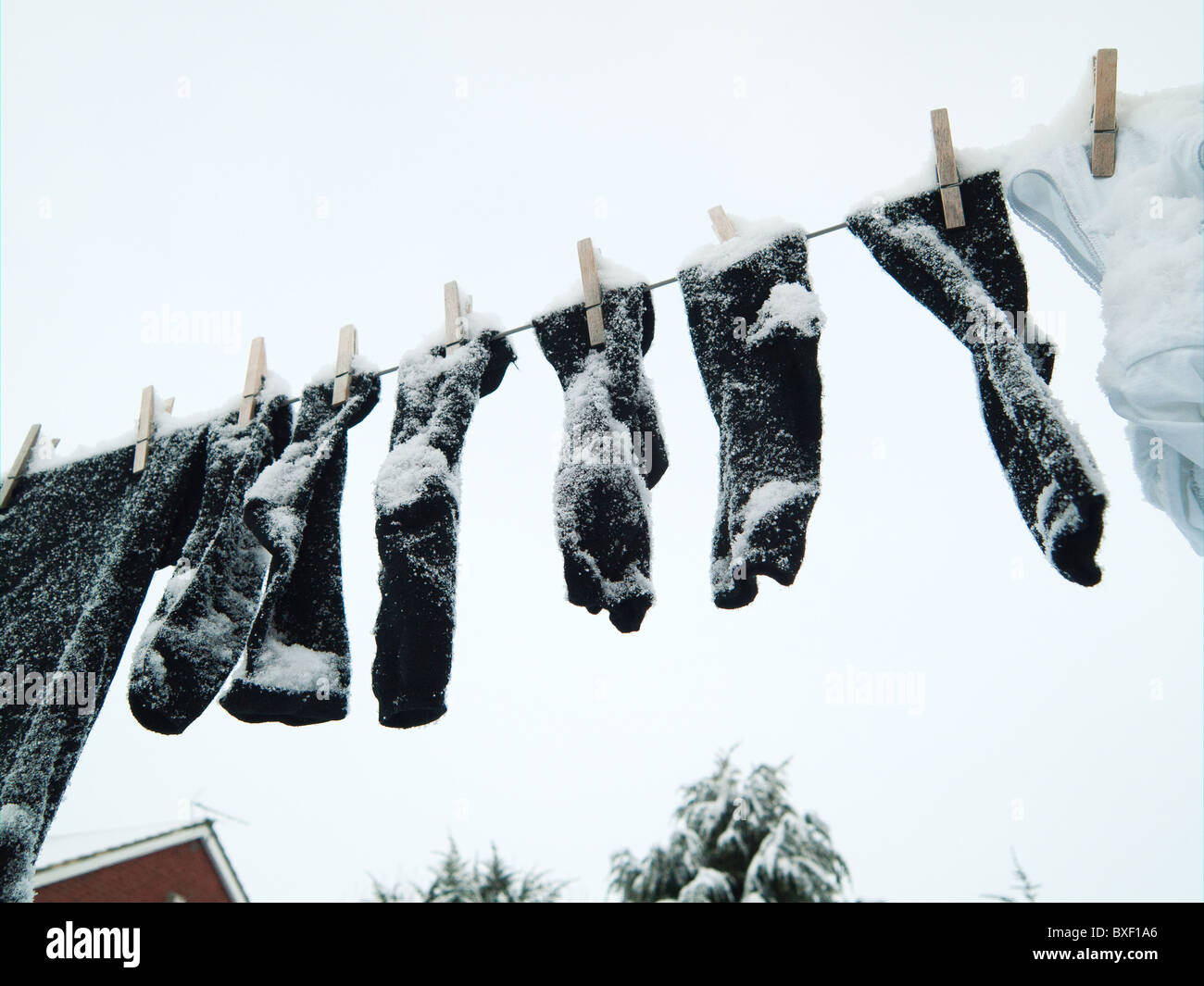Cubiertas de nieve congelada ropa tendida en una línea para seco en  invierno excepcionalmente frío Fotografía de stock - Alamy
