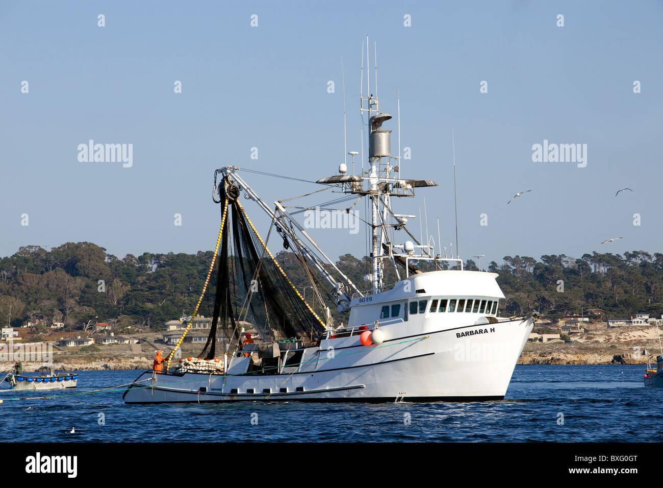 Un barco pesquero jefes fuera del puerto de Monterey, California. Foto de stock
